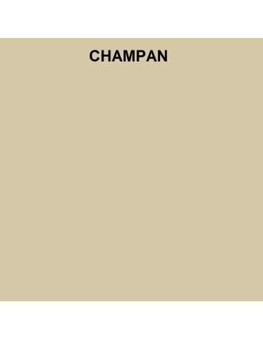 Abattant pour WC SELLES YOKO Champagne fabriqué par ETOOS