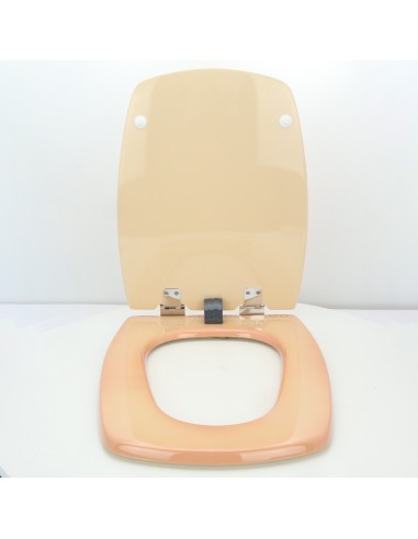 Abattant  WC de rechange pour WC SELLES CHEVERNY Pêche Jaspé