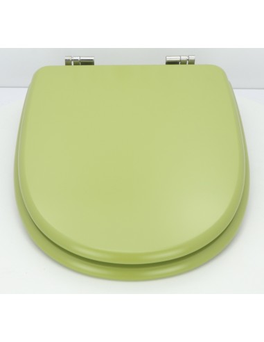 Abattant  WC de rechange pour WC SELLES MARLY Vert mousse