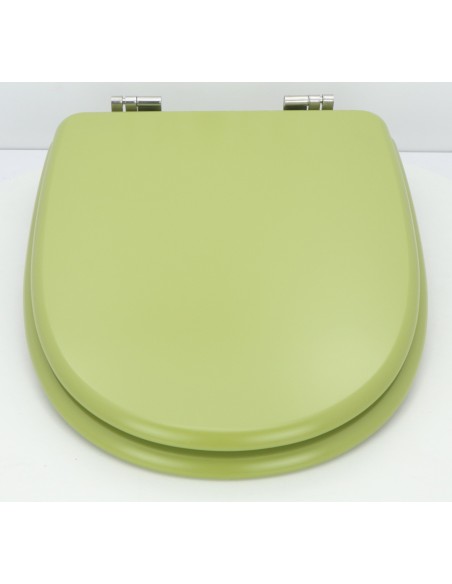 Abattant  WC de rechange pour WC SELLES MARLY Vert mousse
