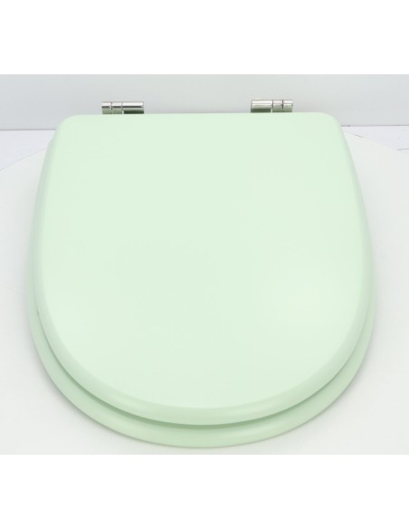 Abattant  WC de rechange pour WC SELLES MARLY Soupir Vert