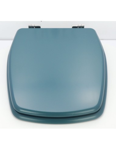 Abattant pour WC SELLES CHEVERNY Vert d'eau fabriqué par ETOOS
